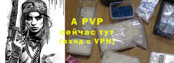 тгк Пролетарск