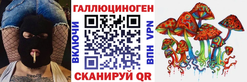 Купить где  Апшеронск  Галлюциногенные грибы GOLDEN TEACHER 